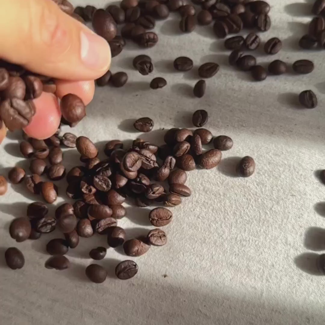 Dak Lak Coffee Cleanser - 100% Vegan Cosmetics